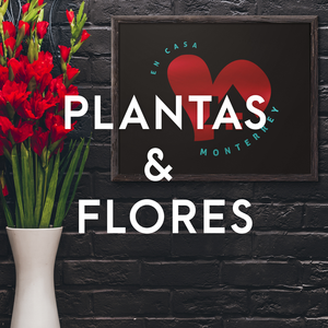 Plantas & Flores