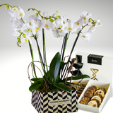 Luxury Orchids: Modernist Box & Motivo Dulce