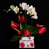 Kiss Box Orchids Medium