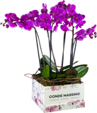 Luxury Orchids: Flower Box